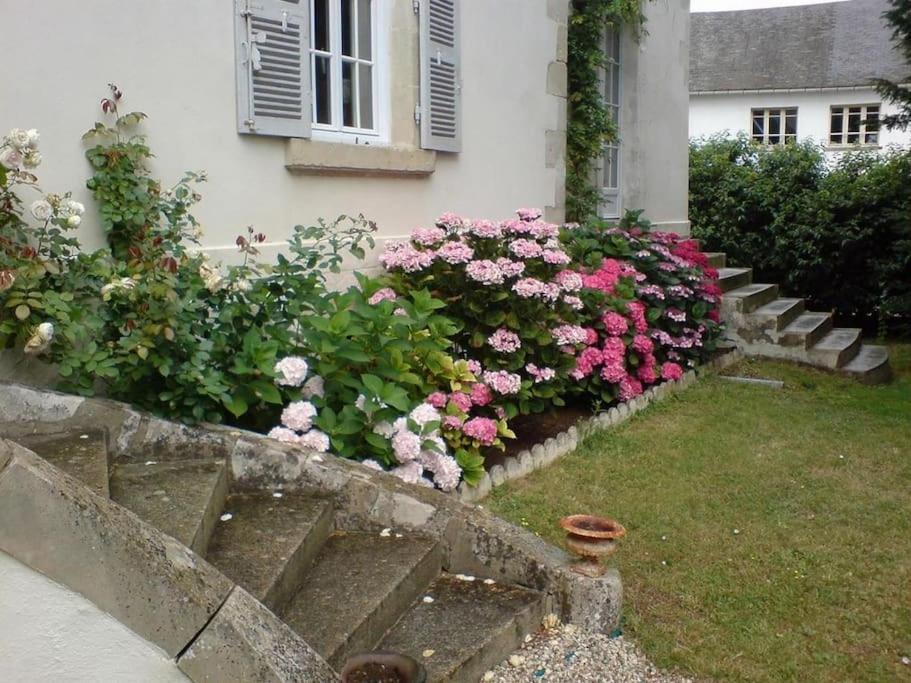 Villa Vaste Maison 23/29 Pers. Piscine Proche Des Plages à Longeville-sur-Mer Extérieur photo