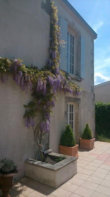 Villa Vaste Maison 23/29 Pers. Piscine Proche Des Plages à Longeville-sur-Mer Extérieur photo